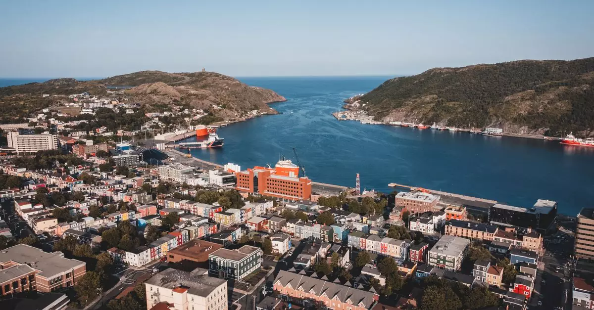 Elevated view of St. John's vibrant cityscape and picturesque harbor.