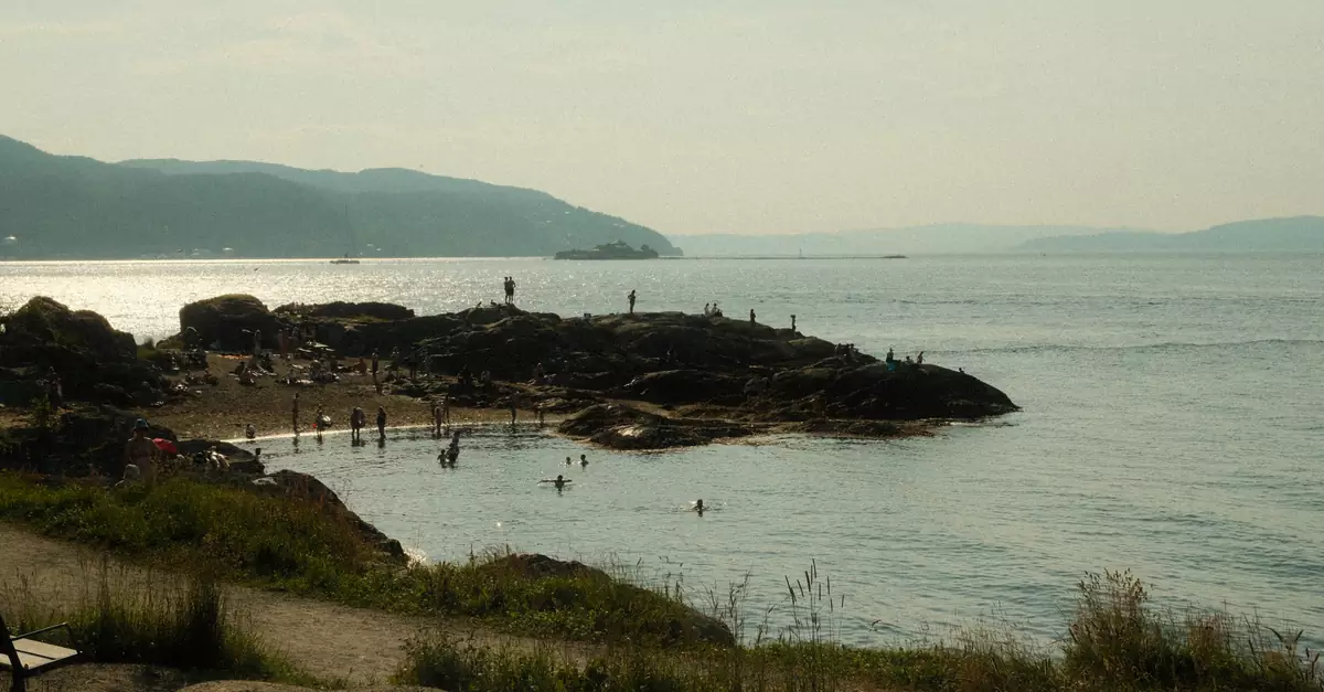 A tranquil beach scene with people relaxing on the rocks and swimming in the ocean.