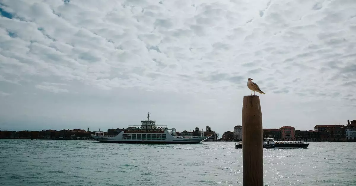 A seagull perches on a post with a ferryboat and Venetian skyline in the background.